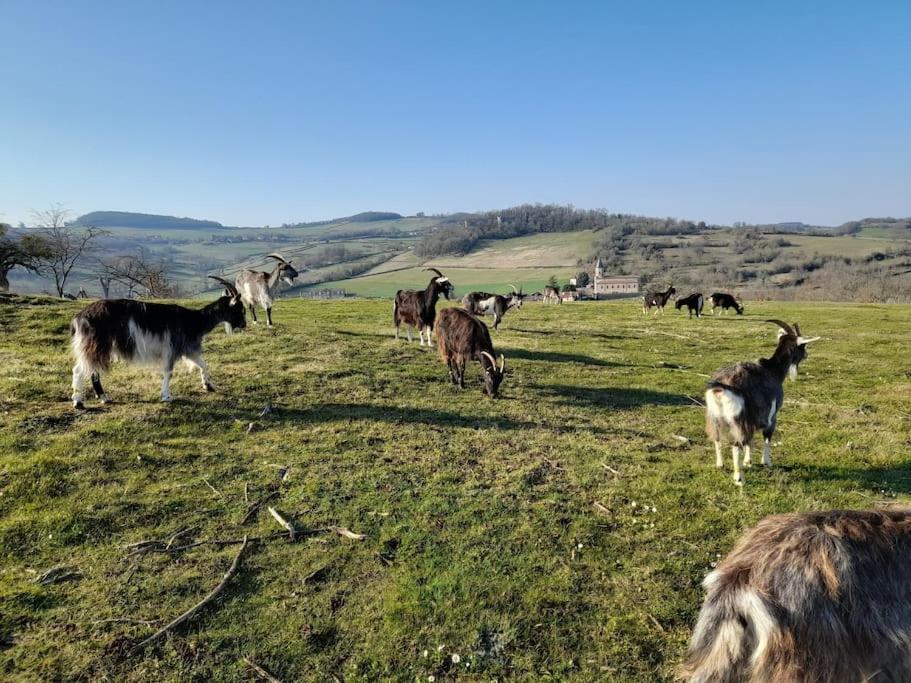 Les Vacances Passy  Kültér fotó